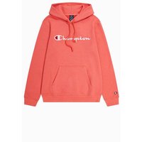 Sweat Champion Sweat à capuche Homme