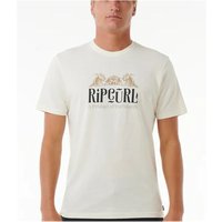 T-shirt Rip Curl Homme Horizon Bone