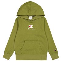 Sweat Champion Sweatshirt Enfant Vert Olive