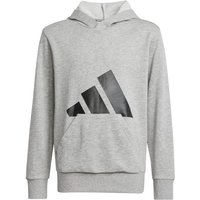 Sweat adidas French Terry Enfant Big Logo Hd Grey