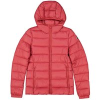 Veste Champion Femme Capuche Polyfilled Mlr Coral