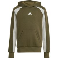 Sweat adidas Enfant Cb Fl Hd Vert foncé