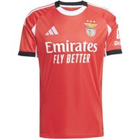 T-shirt de Football adidas Benfica 25/26 Homme Rouge