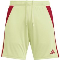 Pantalons de Football adidas Tiro24 Sho Homme Jaune