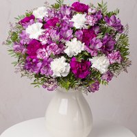 Mauve Magic XL image