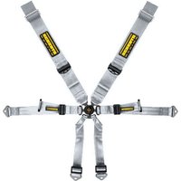 Schroth Porsche 3x2 Harness - Silver, 991 GT3, Silver