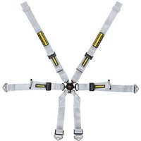Schroth Porsche 2x2 Harness - Silver, 981 GT4, Silver