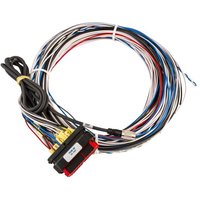 AIM PDM08 / PDM32 Wiring Harness - PDM08 Black Plug Loom