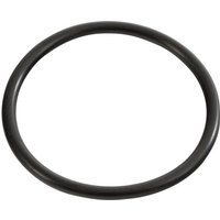 Flo-Fast Fuel Jug Replacement O Ring Seal