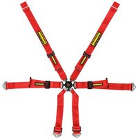Schroth Porsche 2x2 Harness - Red, 981 GT4, Red