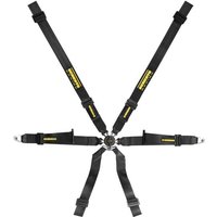 Schroth Profi XLT 2x2 Harness - Pull Down, Black