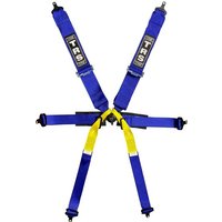 TRS Pro Standard / Superlite 6 Point Single Seater - Blue, 6 Point, Standard, Blue