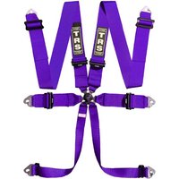 TRS Magnum Standard / Superlite / Ultralite 6 Point Saloon Harness - Purple, Ultralite, Purple