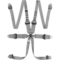 TRS Magnum Standard / Superlite / Ultralite 6 Point FHR Harness - Grey, Ultralite, Grey