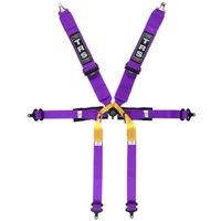 TRS Pro Standard / Superlite 6 Point Single Seater - Purple, Superlite, Purple