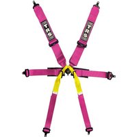TRS Pro Standard / Superlite 6 Point Single Seater - Pink, Superlite, Pink