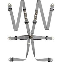 TRS Pro International Standard / Superlite / Ultralite 6 Point Saloon Harness - Grey, Superlite, Grey