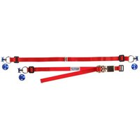 TRS Spare Wheel Tie Down Strap - Red, Removable