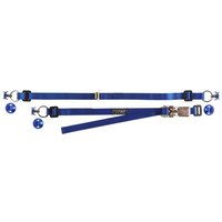 TRS Spare Wheel Tie Down Strap - Blue, Removable