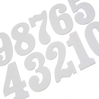Demon Tweeks Race Numbers & Packs - 11inch Grand Prix Style White NO. 1