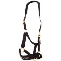 Werano-Halfter Back on Track Werano-Halfter Back on Track