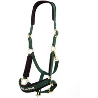 Werano-Halfter Back on Track Werano-Halfter Back on Track