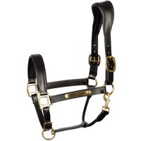 Anatomisches Halfter aus Leder Harry’s Horse Anatomisches Halfter aus Leder Harry’s Horse