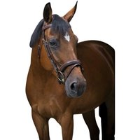 Reittrensen für Pferde Eric Thomas PRO „Wave“ Reittrensen für Pferde Eric Thomas PRO „Wave“