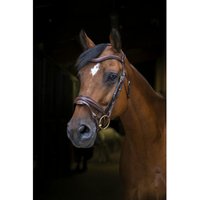 Reittrensen für Pferde Eric Thomas PRO „Design“ Reittrensen für Pferde Eric Thomas PRO „Design“