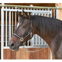 Halfter Full 2 Einstellungen Kerbl mustang Halfter Full 2 Einstellungen Kerbl mustang