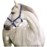 Cob-Halfter 2 Einstellungen Kerbl mustang Cob-Halfter 2 Einstellungen Kerbl mustang