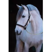 Lederhalfter full Kerbl eco Lederhalfter full Kerbl eco