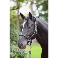 Cob-Halfter Kerbl Cordano Cob-Halfter Kerbl Cordano