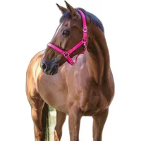 Halfter Norton Fluo Halfter Norton Fluo