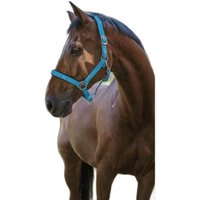 Halfter Norton Fluo Halfter Norton Fluo