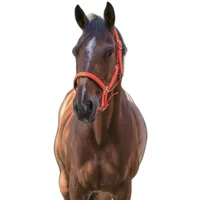 Halfter Norton Fluo Halfter Norton Fluo