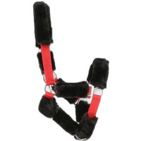 Gepolstertes Halfter Norton Gepolstertes Halfter Norton