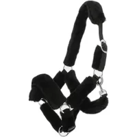 Gepolstertes Halfter Norton Gepolstertes Halfter Norton