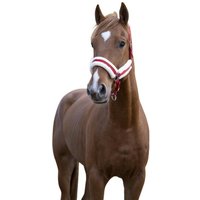 Gepolstertes Halfter Norton Comfort Gepolstertes Halfter Norton Comfort