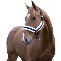 Gepolstertes Halfter Norton Comfort Gepolstertes Halfter Norton Comfort