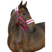 Gepolstertes Halfter Norton Comfort Gepolstertes Halfter Norton Comfort