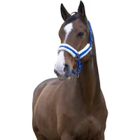 Gepolstertes Halfter Norton Comfort Gepolstertes Halfter Norton Comfort