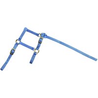 Fohlenhalfter und Longiergurt Norton Fohlenhalfter und Longiergurt Norton