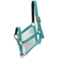 Halfter Norton Halfter Norton