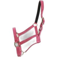 Halfter Norton Halfter Norton