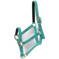 Halfter Norton Halfter Norton