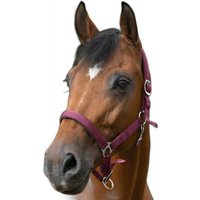 Halfter Norton Halfter Norton