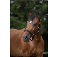 Halfter Norton Halfter Norton