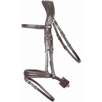 Trensen Reiten T de T Matisse Trensen Reiten T de T Matisse