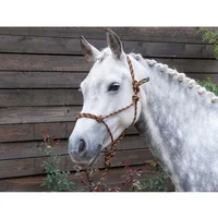 Pferdehalfter etho+Longe T de T Pferdehalfter etho+Longe T de T